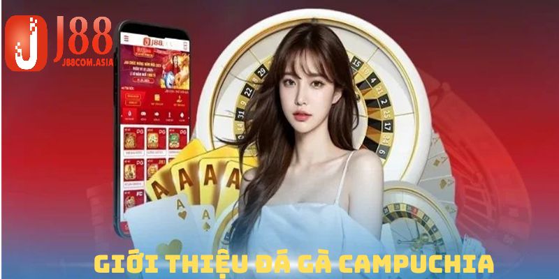 Giới thiệu về đá gà Campuchia.