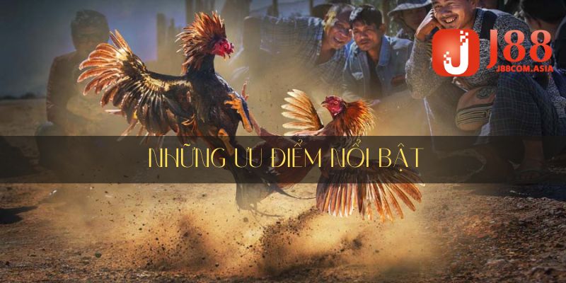 Khám phá thế mạnh của nhà cái